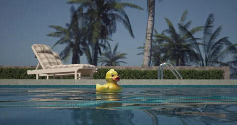 Yellow rubber duck floating in a clear blue swimming pool Stock Footage 312705433