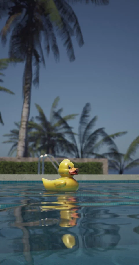 Yellow rubber duck floating in a clear blue swimming pool Stock Footage 312705761