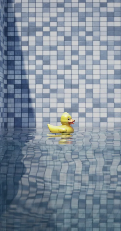 Yellow rubber duck floating in a clear blue swimming pool Stock Footage 313117407
