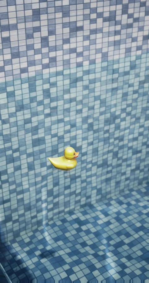 Yellow rubber duck floating in a clear blue swimming pool Stock Footage 313117481