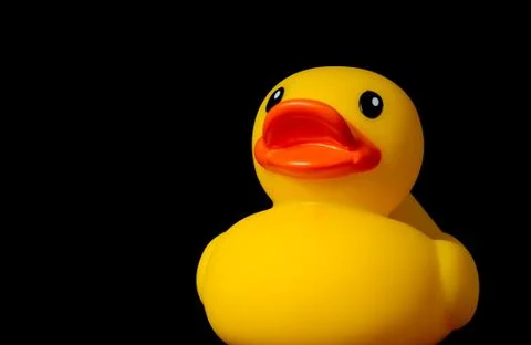 Yellow rubber duck Stock Photos