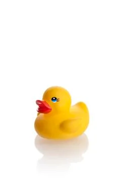 Yellow rubber duck Stock Photos