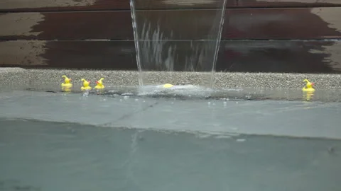 Yellow rubber ducks floating under a waterfall. Stock Footage 318620210
