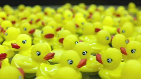 Yellow rubber ducks flowing in circle 스톡 동영상 708697