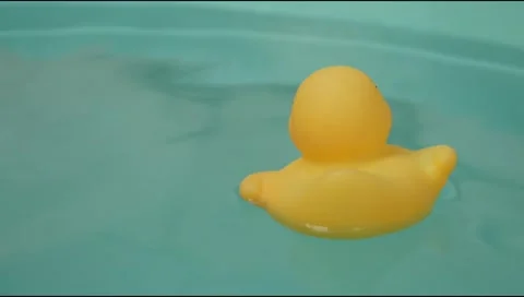 Yellow rubber toy duck floating on the surface of the water Stock Footage 310990773