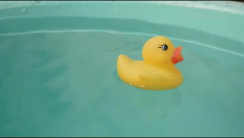 Yellow rubber toy duck floating on the surface of the water Stock Footage 310990774