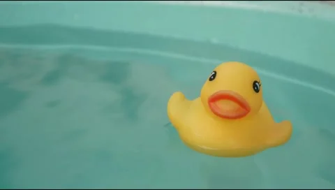 Yellow rubber toy duck floating on the surface of the water Stock Footage 310990776