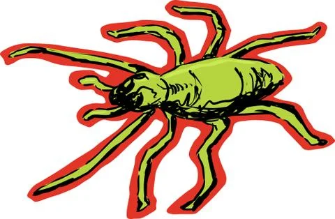Yellow Sac Spider Stock Illustration