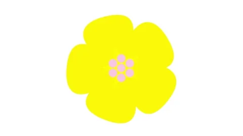 Yellow sakura white Stock Footage 239368425