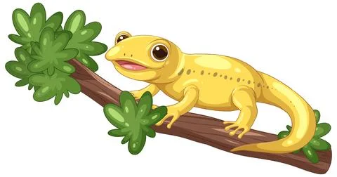 Yellow Salamander on Tree Branch Vector Illustration Stock Illustration