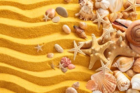 Yellow sand and seashells background. Stock Photos
