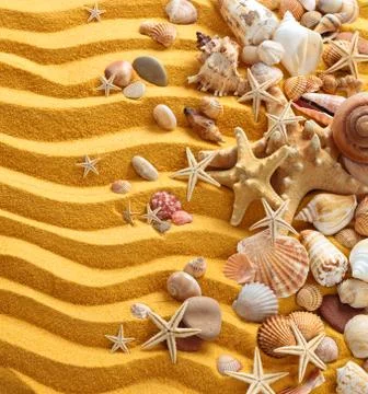 Yellow sand and seashells background. Stock Photos
