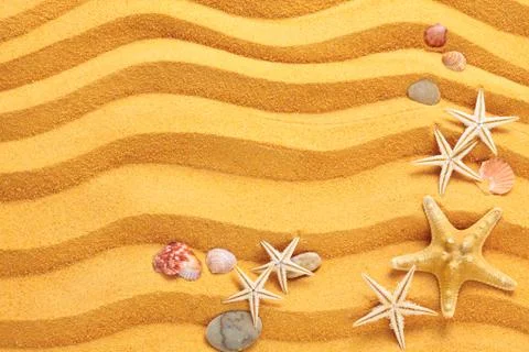 Yellow sand and seashells background. Stock Photos
