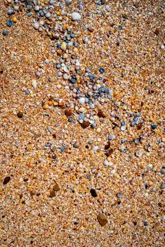 Yellow sand and shells Stock Photos