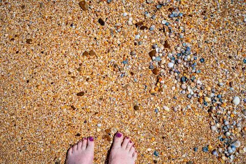 Yellow sand and shells Foto stock