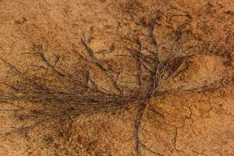 Yellow sand pattern and texture, background Stock Photos