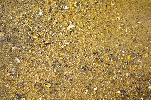Yellow sand with shell background texture Stock Photos