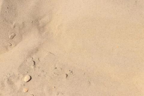 Yellow sand texture for background 写真素材