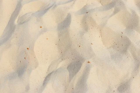 Yellow sand texture for background 写真素材