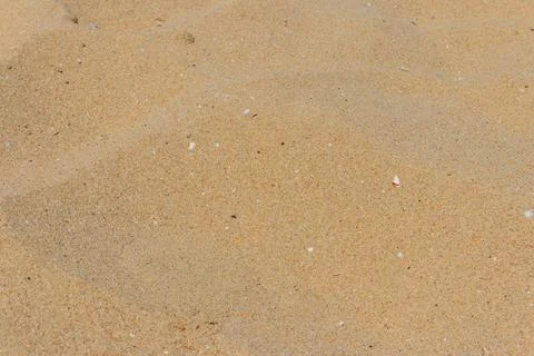 Yellow sand texture for background Photos