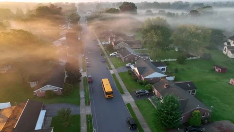 Yellow school bus driving through residential neighborhood at sunrise. Stock Footage 252892487