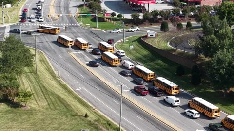 Yellow School Bus Queue at a Forest Intersection Stock Footage 347144976
