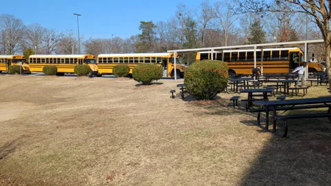 Yellow School Buses Wait for Students Outside Elementary School Building. S.. Video stock 302941674