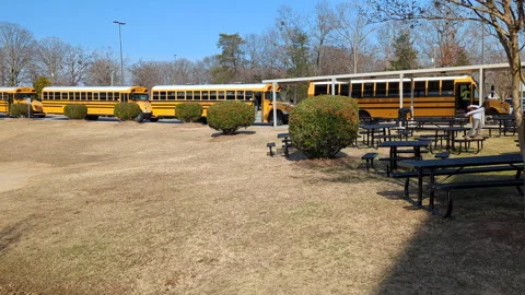 Yellow School Buses Wait for Students Outside Elementary School Building. S.. Stock Footage 308035847