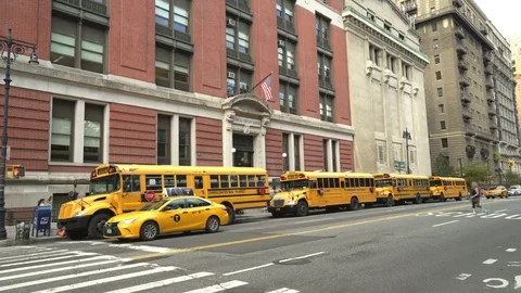 Yellow school buses waiting in a school - New York, Manhattan Stock Footage 71073201
