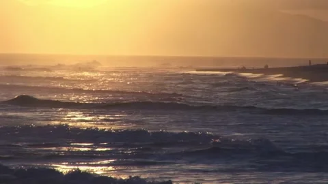 Yellow sea Stock Footage 315594002