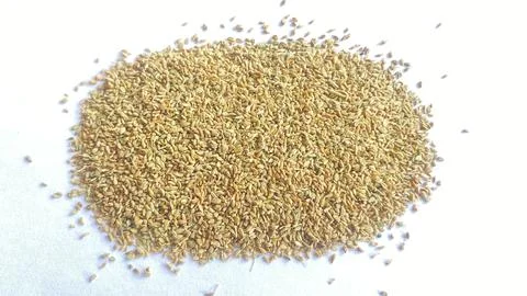 Yellow seed on a white background Foto stock