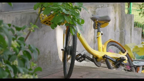 Yellow Shared Bicycle Parked Near Greenery, Urban Outdoor Setting Stock Footage 330976504