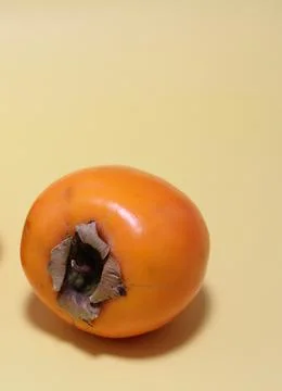 Yellow sharon Stock Photos