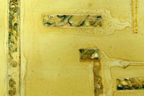 Yellow shell in yellow lacquer paint Stock Photos