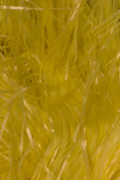 Yellow shredded plastic fake Easter grass background Stock Photos