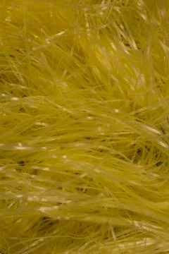 Yellow shredded plastic fake Easter grass background Stock Photos
