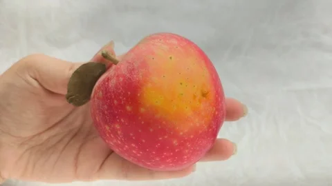 The yellow side of the red apple is in a womans hand. Ripe fruits. Stock Footage 314976506