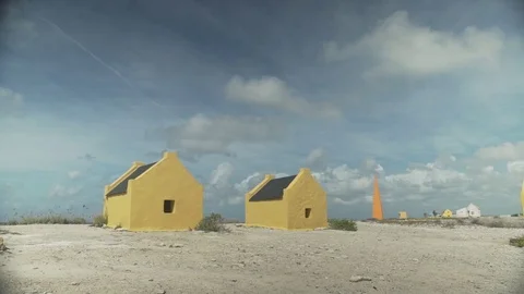 Yellow Slaves Bonaire Stock Footage 80222385