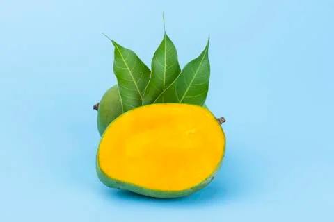 Yellow slice mango with leaf isolated on blue Stock Photos
