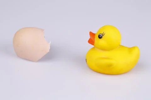 Yellow small plastic duck with egg isolated on a white background Stock Photos