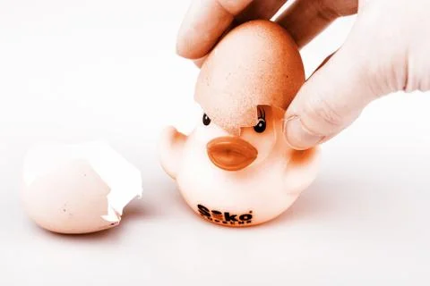 Yellow small plastic duck with egg isolated on a white background Stock Photos