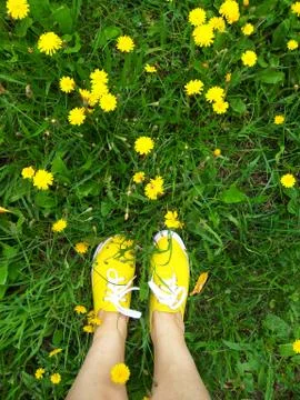 Yellow sneakers Stock Photos