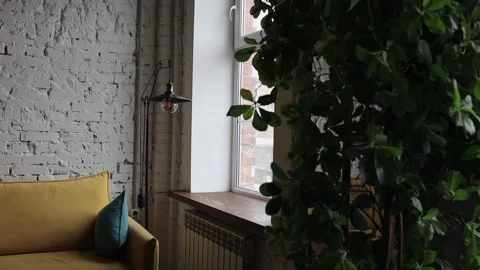 Yellow sofa with blue pillows in a modern interior Video stock 313656533