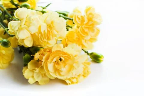 Yellow soft spring flowers bouquet on white background Stock-Fotos