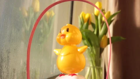 Yellow solar powered toy chick in window Stock Footage 147220580