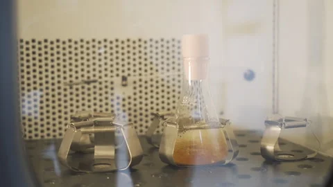 Yellow solution Shaked in Orbital Shaker close up 50fps Stock Footage 247404810
