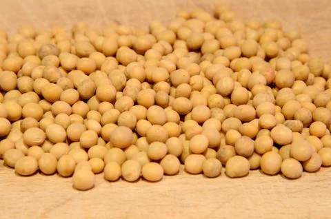 Yellow soya beans 스톡 사진