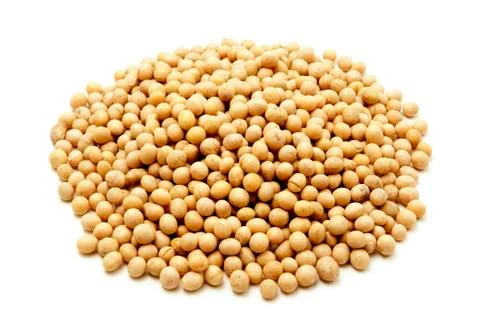 Yellow soybeans Stock Photos