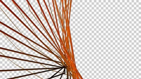 Yellow spider lines with alpha Stock Footage 54568853