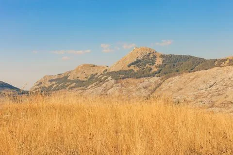 Yellow spikelets of grass with mountains in background. Panoramic landscape Stock Photos